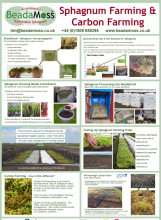 Sphagnum farming and carbon farming - BeadaMoss