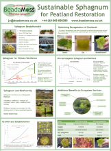 Sustainable sphagnum for peatland restoration - BeadaMoss