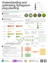Understanding and optimising Sphagnum plug planting - GGR Peat and Aberystwyth University