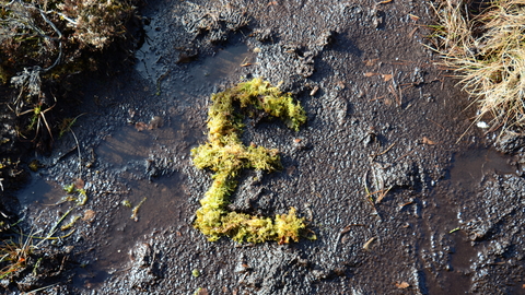 Pound sign made out of sphagnum moss
