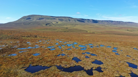 Bog pools on a peatland site.