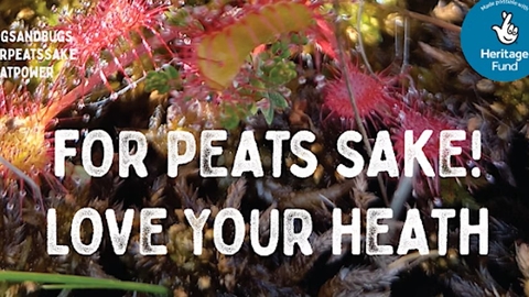 Banner advertising an event hosted by Dorset Wildlife Trust, Dorset Peat Partnership and Peat-Fest South-West. Image has Sphagnum as a background with the words For Peats Sake! Love Your Health in the foreground.