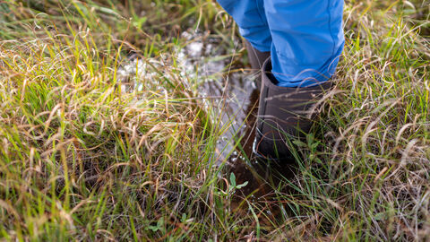 A child's feet in a pair of wellies, stood in a small peatland pool.