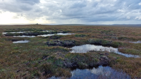 Blanket bog landscape with bog pools and a cairn in the background