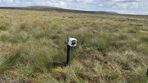 Peatland landscape with Plant-e SensorStick on a post sticking up out of the ground.