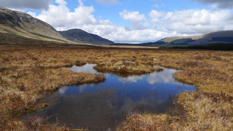 Peatland pool surrounded by mountains. Large clouds in the sky are reflected in the pool.