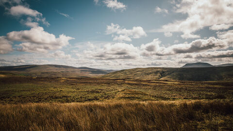 Blanket bog landscape with undulating hills covered in grasses and rushes and a mountain in the background.
