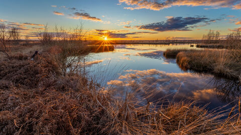 Lake edge surrounded by vegetation.