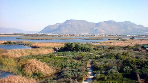 Wetland landscape with a path running through dense vegetation and mountains in the distance.