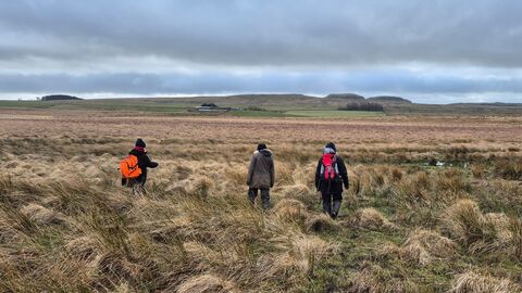 Three people in outdoor clothing walking away across an open landscape covered in large tussocks.