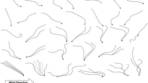 Black wavy lines across a white background.