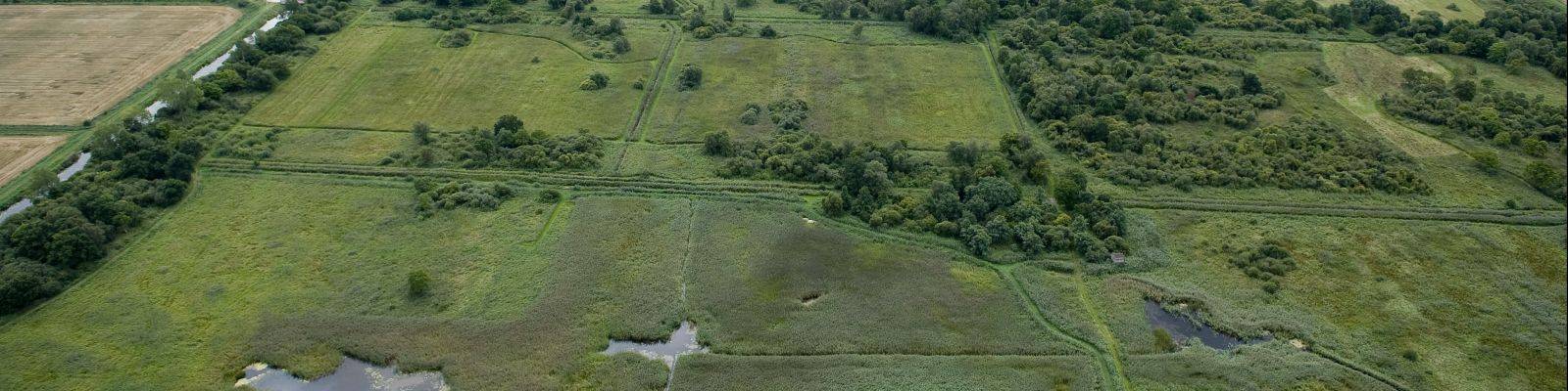 Fens in Ireland FactsheetIrish Peatland Conservation Council