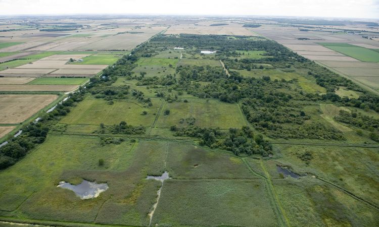 Woodwalton Fen