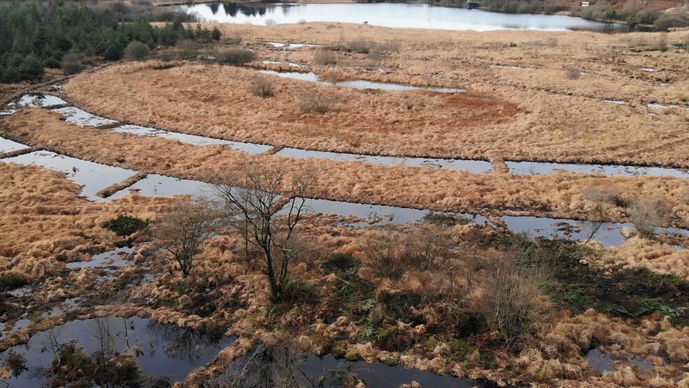 Conference 2026: Peatlands Under Pressure | IUCN UK Peatland Programme