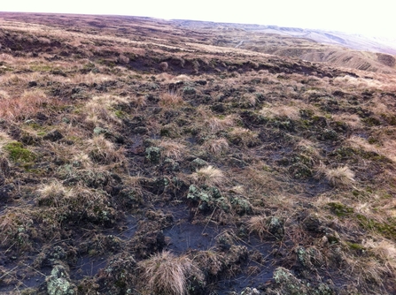 Damaged peatland from drainage and grazing