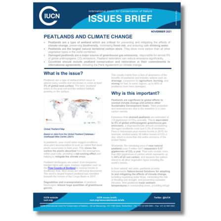 IUCN Issues: Peatlands and climate change cover