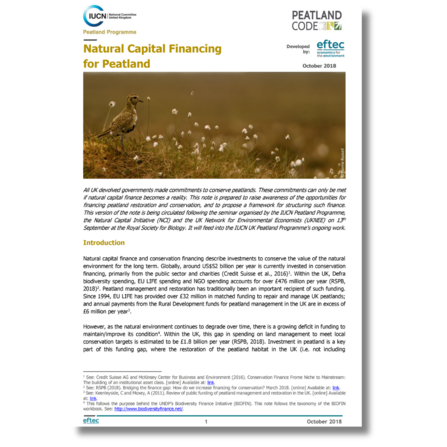 Natural capital financing for peatland publication cover