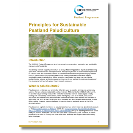 Principles for sustainable peatland paludiculture briefing cover