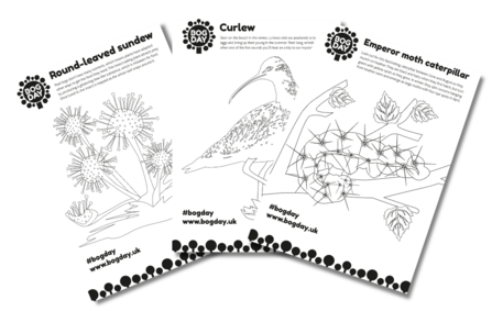 Bog Day colouring sheets