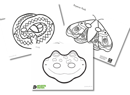 Make your own wildlife masks from the Wildlife Trusts