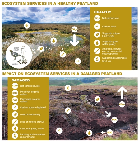 Two infographics show the ecosystem services in a healthy and a damaged peatland
