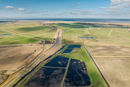 Aerial view of Horsey Wet Farm