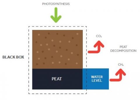 Illustration of peatland 'black box'.