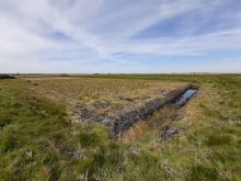 Eyes on the Bog monitoring at the Water Works project.
