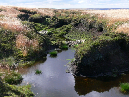 A stone dam blocks a gully of water