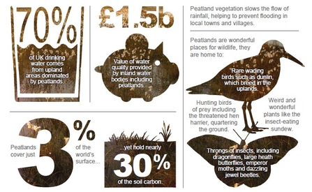 Infographic showing peatland facts and figures
