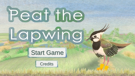 Pete the Lapwing game screenshot