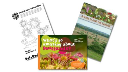 Images of three resources for Bog Day