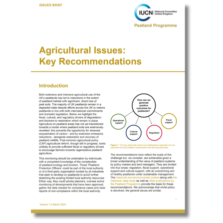 Agricultural issues brief - 10 key recommendations - front cover