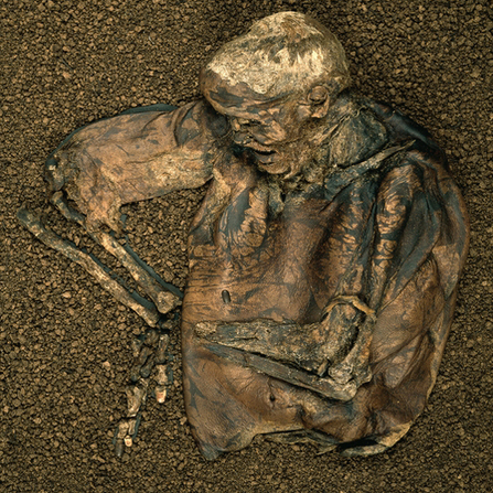 Remains of the Lindow Man, preserved by peat