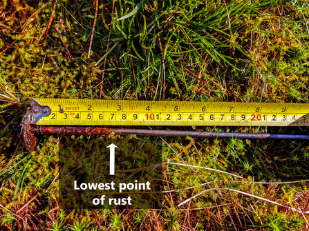 Example of a rust rod reading for Eyes on the Bog