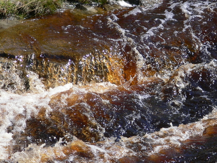 Dark brown water with a high dissolved organic matter content