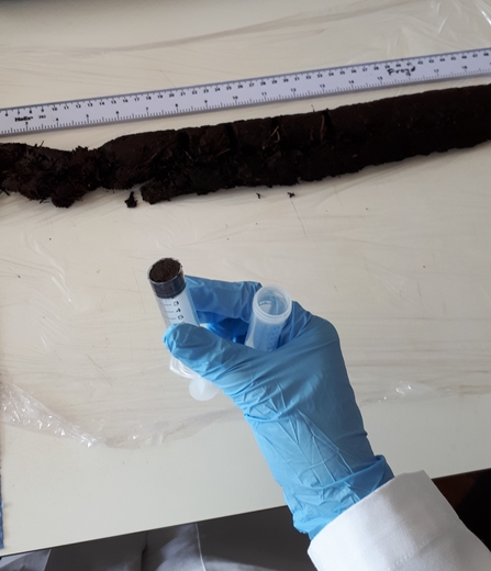 Sub-sampling of a peat core in preparation for analysis