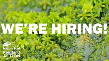 NatureScot Peatland ACTION we are hiring advert. Image of sphagnum moss with the words we are hiring