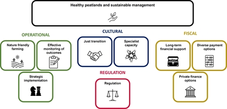 Summary of the 10 key recommendations from the Peatland and Agriculture issues brief