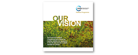 Our Vision publication front cover