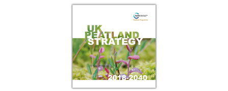 UK Strategy front cover