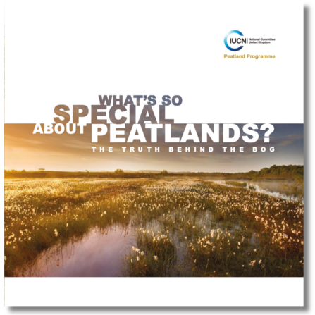 What's so special about peatlands? leaflet cover
