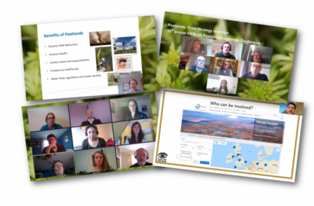10th IUCN UK Peatland Programme Conference. Montage of video screens and presentations