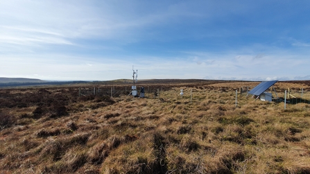 Flux tower in peatland