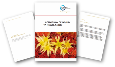 Commission of Inquiry front cover