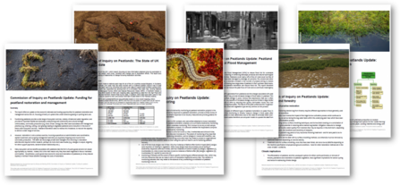 Commission of Inquiry update reports images