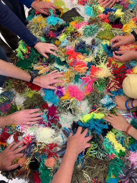 Lots of hands on top of 'Sphagnum' pompoms