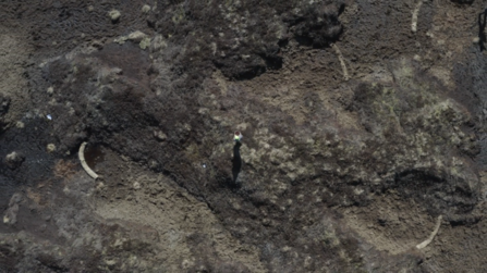 Aerial view showing coir logs used to reduced erosion of a bare peatland landscape.