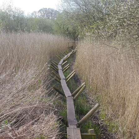 Replica of the Neolithic 'Sweet Track'. 