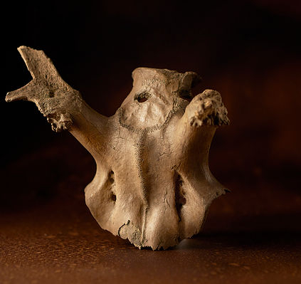 Star Carr include head-dresses made from red deer skulls